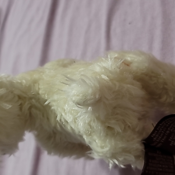 Ramsey The Ram Plush Animal from Ty - Picture 5 of 6